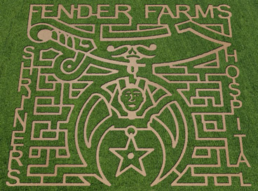 fenders-farm-maize