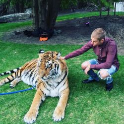 bieber tiger instagam