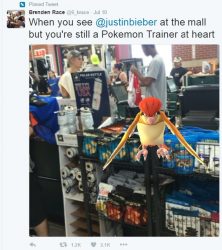 beiber pokemon