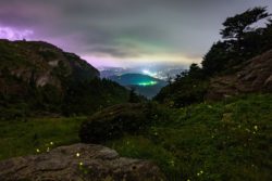 ‘Glowing demand’: Response for Grandfather Mountain firefly event shuts down online servers