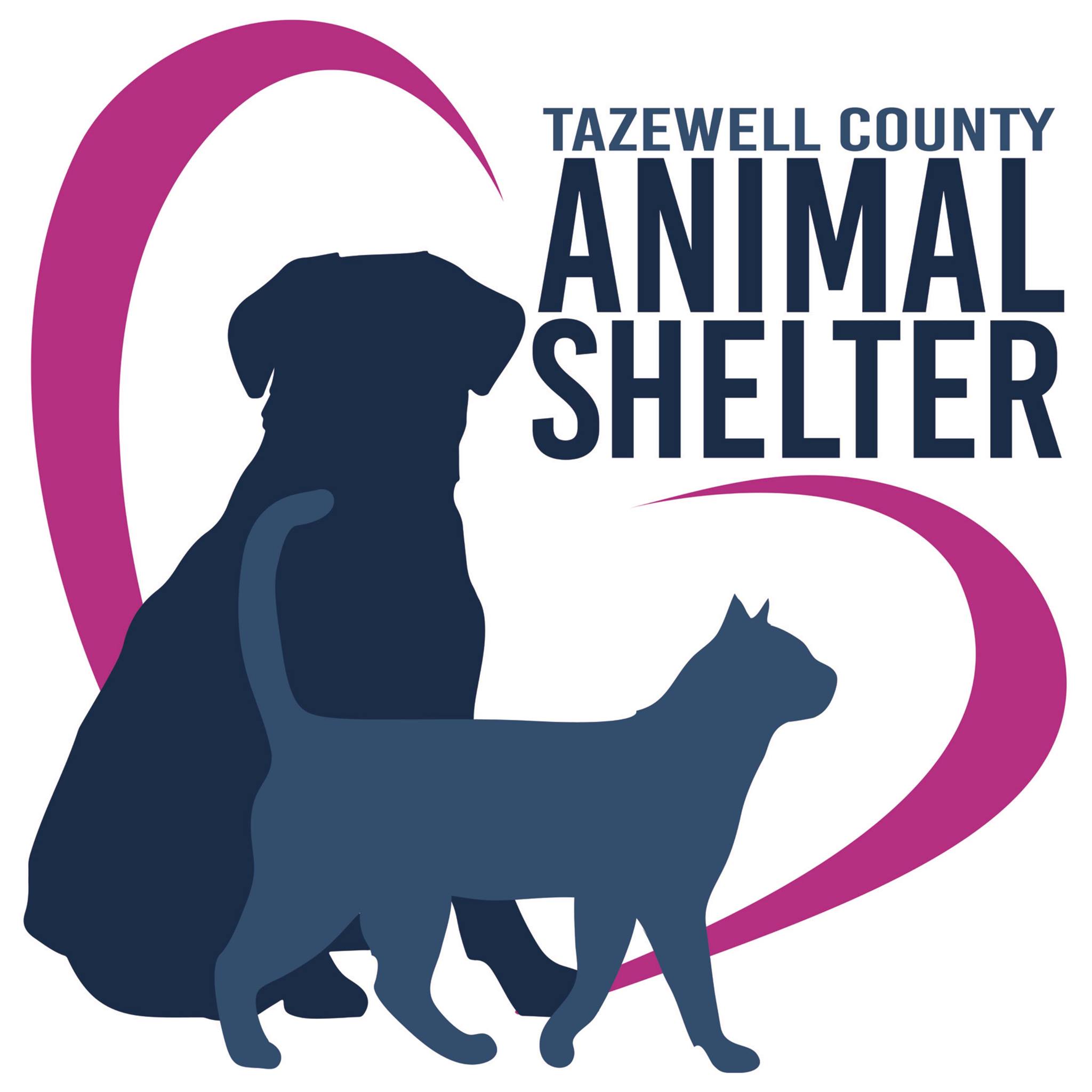 Tazewell County Animal Shelter at full capacity; fears euthanasia to ...