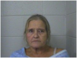 Gray woman arrested after search warrant yields discovery of heroin, cocaine, meth