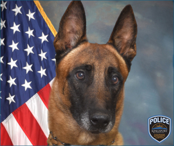Kingsport police bid farewell to K9 Whiskee