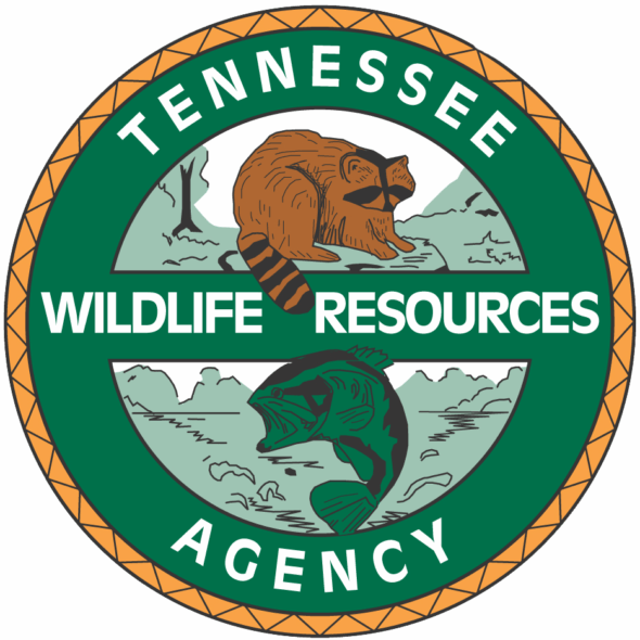 TWRA releases statement on  Boone Lake fireworks mishap