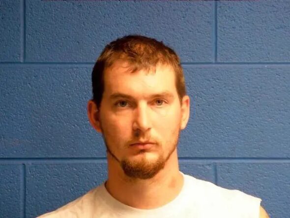 Greene County man facing child and animal related charges