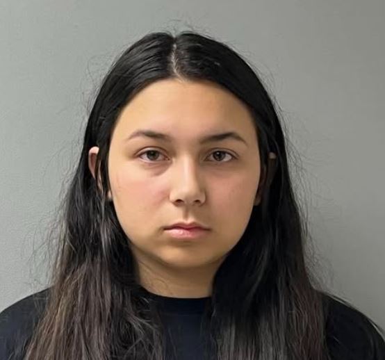 Police: Bristol mother of three left kids home alone starting at sundown