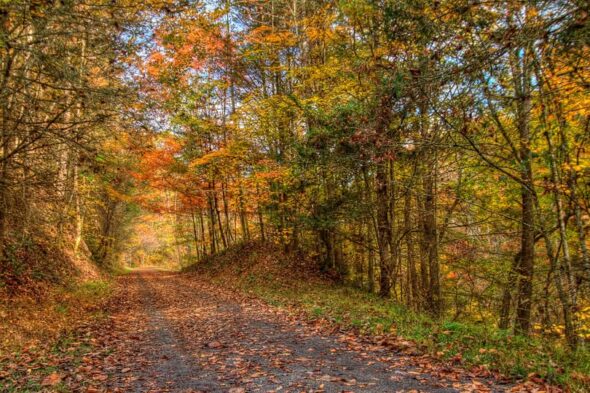 VA Gov. Youngkin breaks ground in Damascus for Creeper Trail rebuild