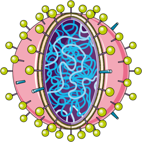Tennessee flu cases on the rise