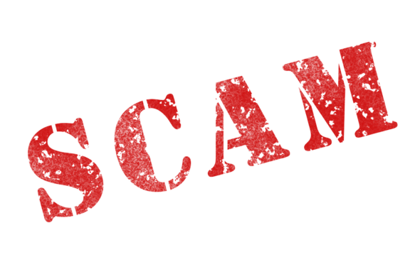 Investment scams steal the most money of any scams in TN
