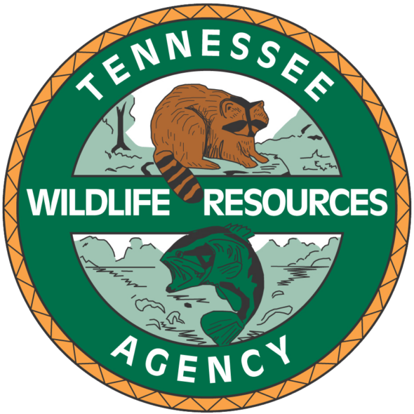 TWRA reminds hunters to watch for possible avian flu cases