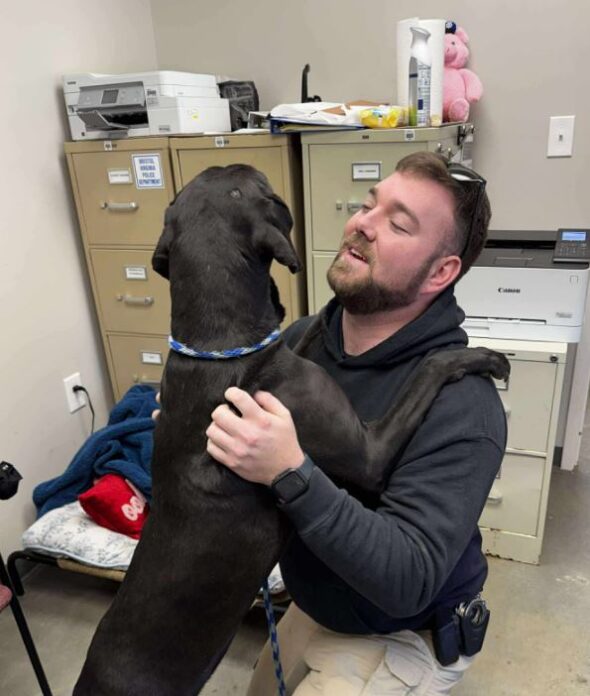 ‘No more cold nights’: Pet dog from Bristol lost for two years recovered in Exit 7 area
