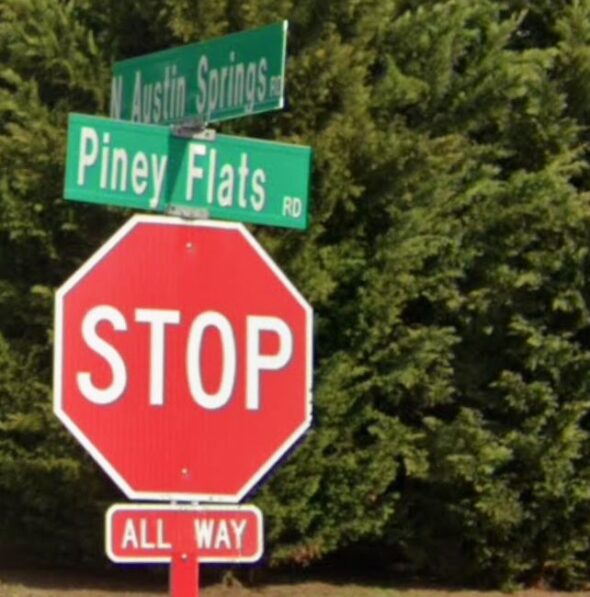 Sheriff’s Office: Animals abandoned at Piney Flats home, two dead dogs found