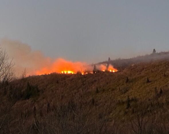 North Carolina woman charged with starting Jumping Branch fires
