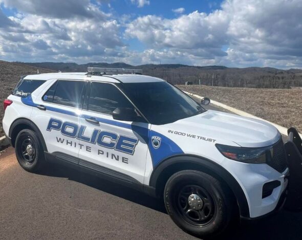 White Pine Police:  Greeneville man charged with child sex crimes