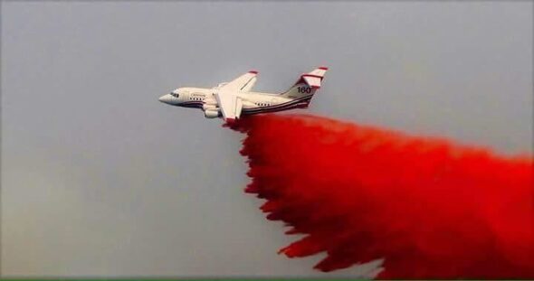 Federal agency imposes fire restrictions in Cherokee National Forest