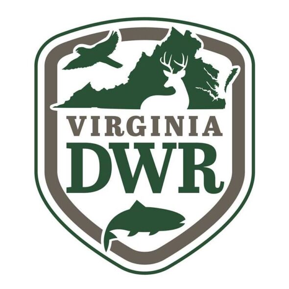 Prized elk hunt tags for Southwest Virginia event awarded
