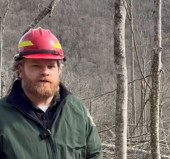 Delivery of rain ends burn ban in North Carolina, Roan Mountain to remain fire free