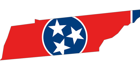 TN Gov. Lee convenes special session to review congressional map