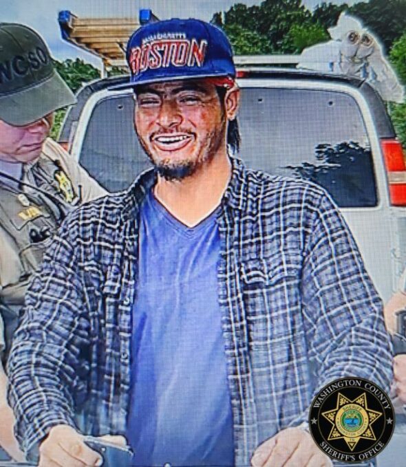 Sheriff: Driver of stolen van escapes after scuffle with officers