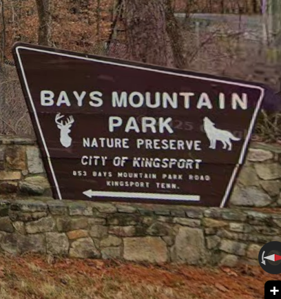 Temporary closures due to bear activity announced by Eastman Recreation at Bays Mountain
