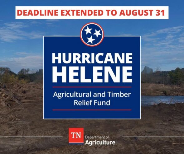 TDA extends application period for Helene assistance for farmers and landowners