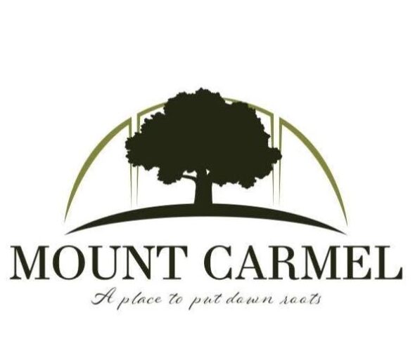 Cryptocurrency and data centers banned in Mount Carmel after BMA vote