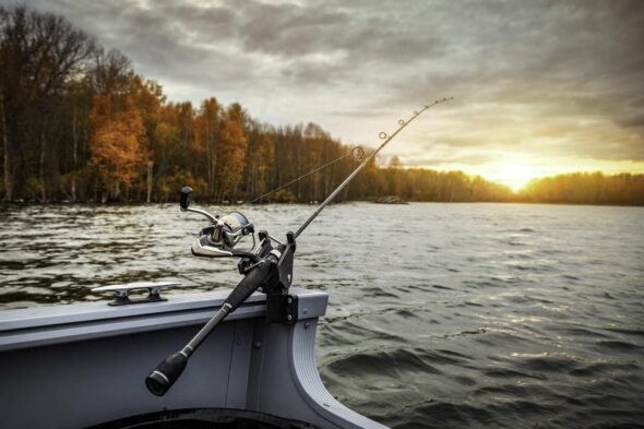 Hunting and fishing licenses in TN may become more expensive