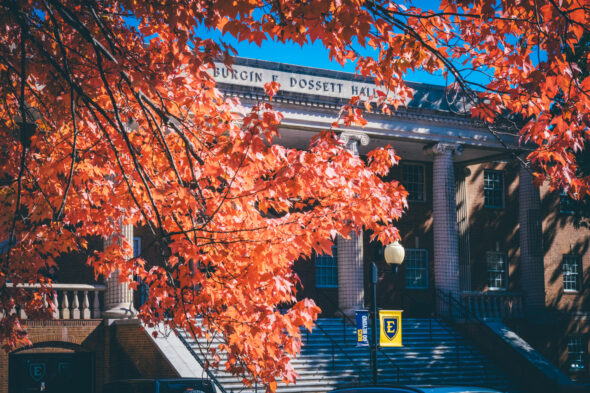 ETSU arborist says two upcoming weekends will be prime leaf peeping weather