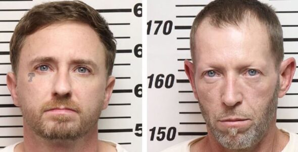 Tennessee men receive fines and jail time for cutting down tree in state park